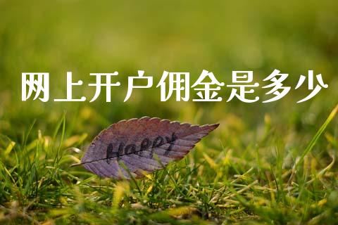 网上开户佣金是多少_https://wap.sdyuehang.cn_新股申购_第1张