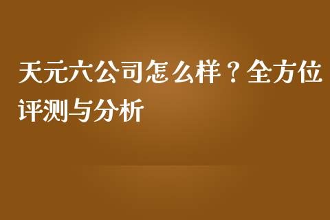 天元六公司怎么样？全方位评测与分析_https://wap.sdyuehang.cn_产经新闻_第1张